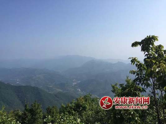 �ܼ�կ�L(f��ng)�� (3).jpg