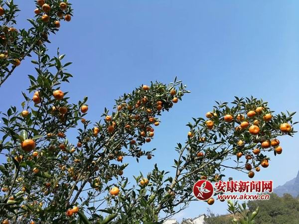 �{(di��o)����С mmexport1509844149357.jpg