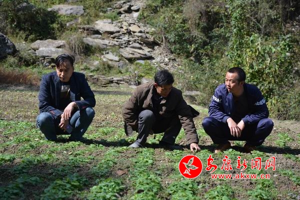 �{(di��o)����С DSC_7076.JPG