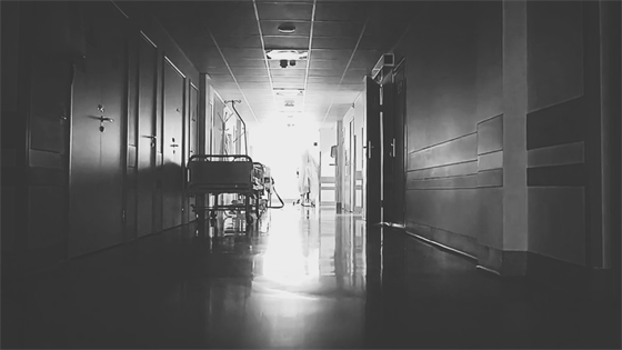 安康這三兄妹，熱血！